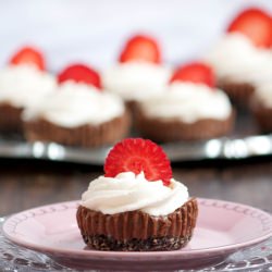 Mini Mocha Cheesecakes