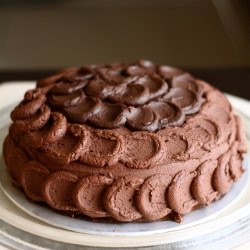 Yellow Cake with Chocolate Frosting