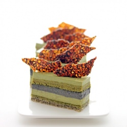 Matcha Goma Entremet