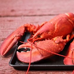 Cooking Lobsters