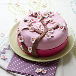 Cherry Blossom Cake