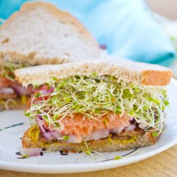 Sprout-Lovers Sandwich