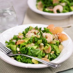 Kale Grapefruit and Shrimp Salad