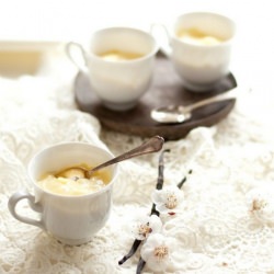 Custard