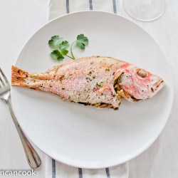 Snapper