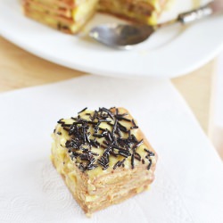 NoBake Biscuit Custard Pudding Cake
