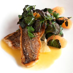 Crispy Yellowtail Snapper