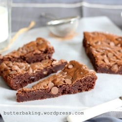 Chocolate Chip Brownies