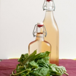 Basil Infused Vodka