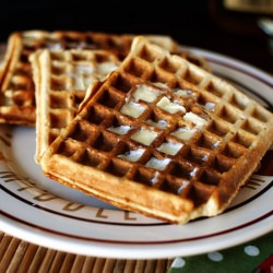 Oat Honey Waffle