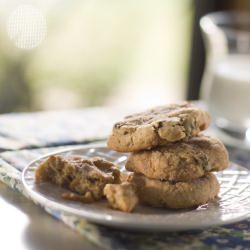 Applesauce Cookies