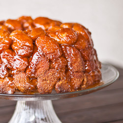 Monkey Brains