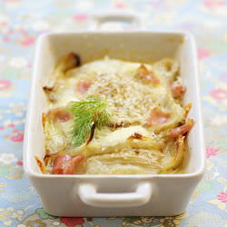 Fennel Gratin