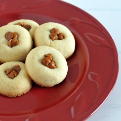 Baileys Cookies