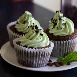 Mint Choc Chip Cupcakes