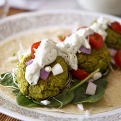 Falafel w/ Tzatziki Sauce