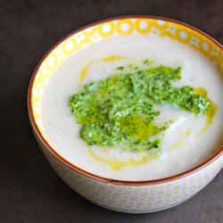 David Tanis’ Fennel Soup