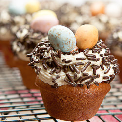 Vanilla Muffins
