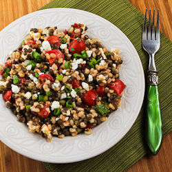 Lentil & Barley Salad