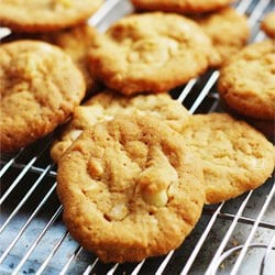 White Chocolate Chip Macadamia Nut