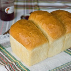 Newfoundland White Bread