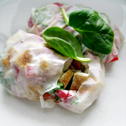 Chicken Spring Rolls
