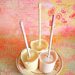 Instant Frozen Yogurt Pops