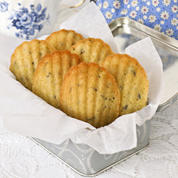 Lavender Madeleines
