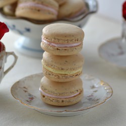 Earl Grey Macarons