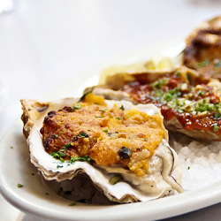 Oysters