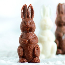 Chocolate Bunnies