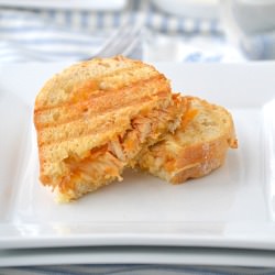Buffalo Grilled Cheese Panini