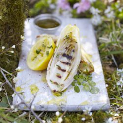 Griddled Chicory with Dressing