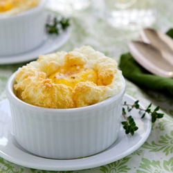 Eggs In Nests