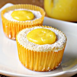 Meyer Lemon Cupcakes w/ Curd