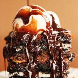 Fudge Brownie Bar