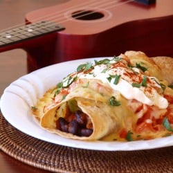 Chicken Enchilada