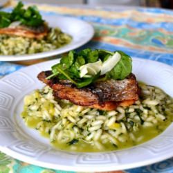 Wild Garlic Risotto with Bream