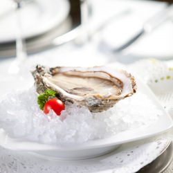 Oysters