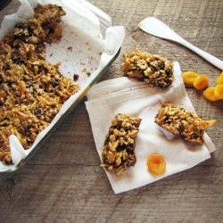 Fruit and Nut Bars