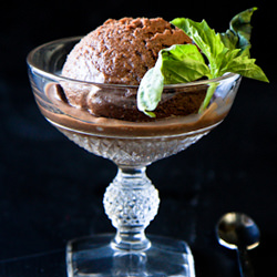 Basil and Dark Chocolate Sorbet