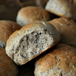 Poppyseed Buns