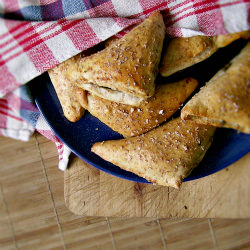 Mushroom Yeast Triangles