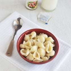 Macroni in Milk Peppery Sauce