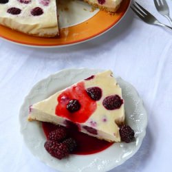 Frozen Berry Custard Pie