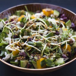 Avocado Pumpkin Cranberry Salad