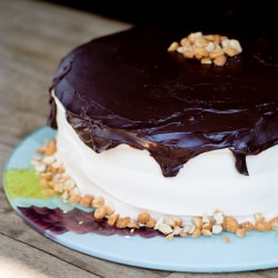 Peanut Butter Cake