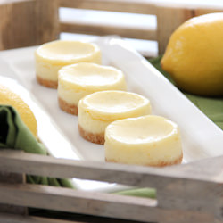 Mini Lemon-Lime Cheesecakes