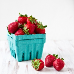 Storing Fresh-Picked Strawberries