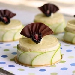 Lychee and Pistachio Mousse Cake